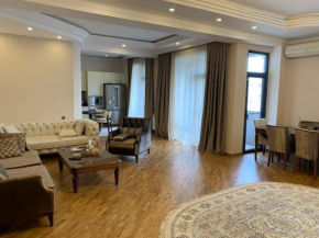 Luxury apartment for COP29 Abu Arena